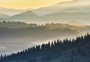 silhouettes of mountains. foggy autumn morning. Morning Carpathians