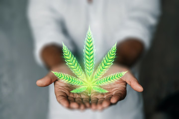 Male hands with marijuana sign, hemp leaf, cannabis consumer symbol. The concept of legalization of...