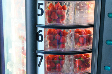 New harvest of ripe red strawberries for sale in automatic vending machine