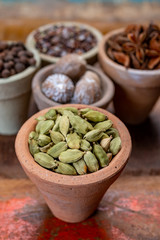 Indian spices collection, dried green cardamom pods and another spices in clay bowls