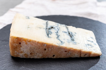 Italian food, buttery or firm blue cheese made from cow milk in Gorgonzola, Milan, Italy