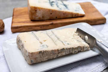 Italian food, buttery or firm blue cheese made from cow milk in Gorgonzola, Milan, Italy