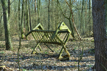 Drewniany pusty paśnik w lesie wśród drzew. © W Korczewski