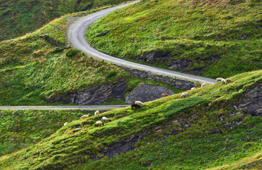 Road fragment of Grossglockner alpine pass