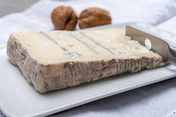 Italian food, buttery or firm blue cheese made from cow milk in Gorgonzola, Milan, Italy