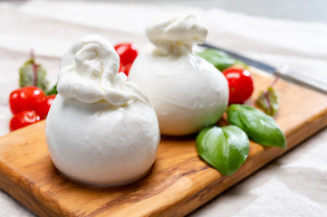 Cheese collection, fresh soft white burrata cheese ball made from mozzarella and cream from Apulia, Italy - obrazy, fototapety, plakaty