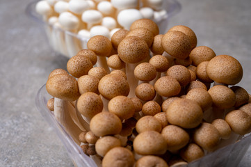 Fototapeta na wymiar Fresh buna brown and bunapi white shimeji edible mushrooms from Asia, rich in umami tasting compounds such as guanylic and glutamic acid