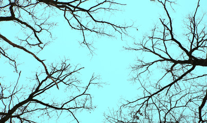 abstract background photo