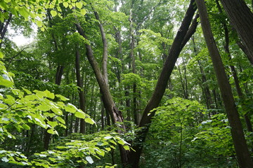 The power of nature !!  Survival