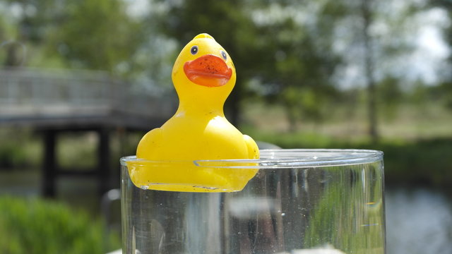 Obrazy (Entchen) — zdjęcia, wektory i wideo bez tantiem (6,776) | Adobe ...