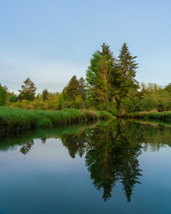 Obraz premium Kennedy Creek, Shelton Washington