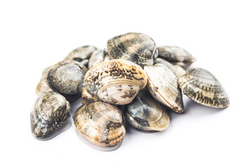 Venus calms on white background