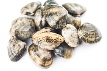 Venus calms on white background