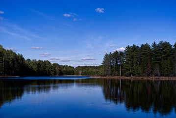 Beautiful lake on a sunny spring day
