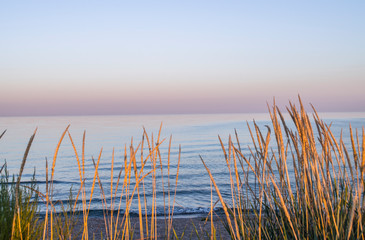 Sea coast with spikelets. Photo of evening seascape.