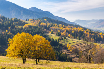 NP Mala Fatra near Zilina, Slovakia
