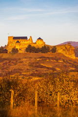 Obraz premium Castle of Boldogko in Northern Hungary