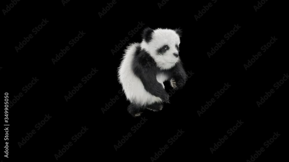 Wall mural panda dance cg fur 3d rendering animal realistic cgi vfx animation loop composition 3d mapping carto