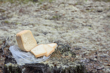 Sliced loaf of white bread on the nature in camping trip.