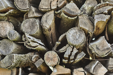 Pile of dry natural firewood consisting of various thin tree stumps cut into small pieces