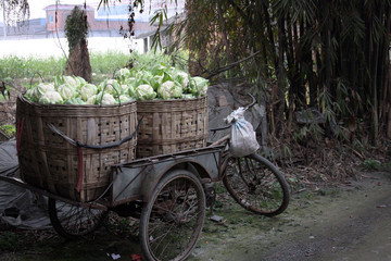 Fototapeta na wymiar Vegetable cart in China