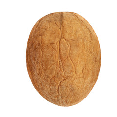 Whole Walnut Isolated. Walnut kernel Nut on white background. Close up.