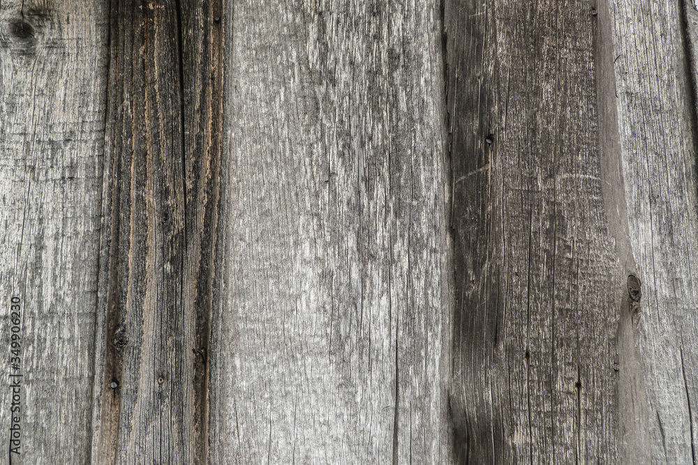 Wall mural old wood texture. floor surface. part of the wood veneer sheet.