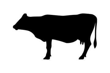 Cow silhouette. Black profile of standing cow isolated on white background. Vector illustration