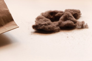 Bunch of Dust and One Paper Bag