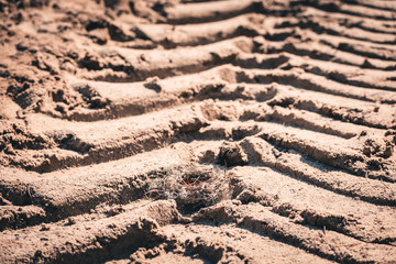 Deep tracks from the wheels of large truck on the sand in forest area.
