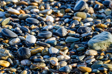 Pebble stones on the beach of Greystones, Ireland.