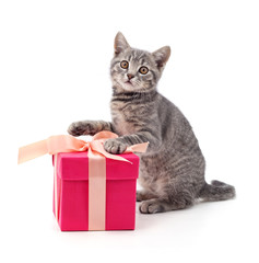 Kitten and gift.