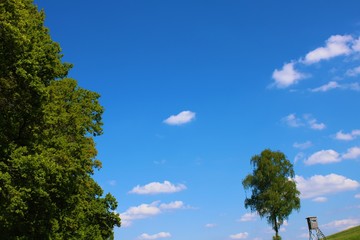 Obraz premium blue sky trees and field