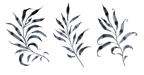 Set of watercolor twigs. Three black branches on a white isolated background.
Stylized branches with leaves. Plants painted in black paint.