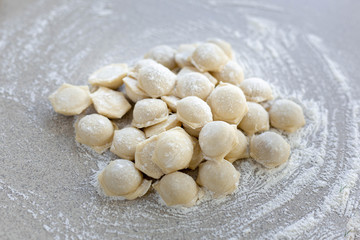 Fototapeta na wymiar Homemade dumplings close-up. Dumplings lie on a table sprinkled with flour. A lot of dumplings in bulk