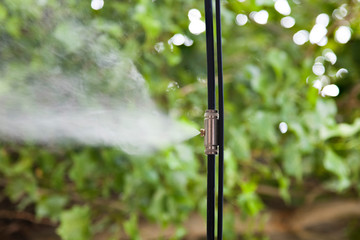 outdoor humidifier, in the summer heat