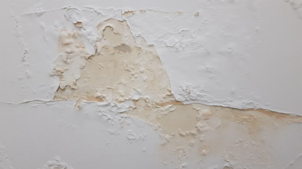 Damaged wall surface with wet peeling paint pieces