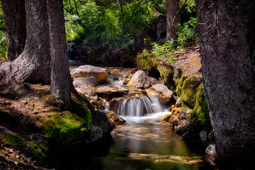 Corral Creek Falls 1