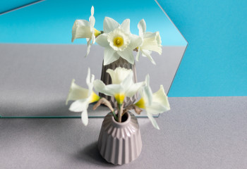 White daffodils bouquet in vase reflecting in mirror with blue and beige background