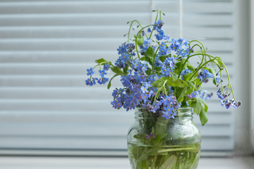 A bouquet of forget-me-nots standing on the window, covered with blinds