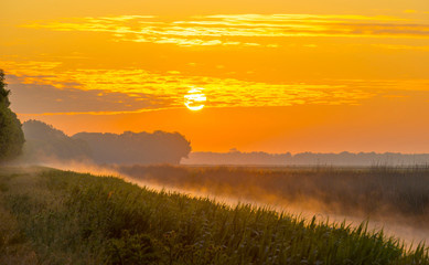 Fototapeta premium Misty canal in an agricultural field below a blue yellow sky in sunlight at a foggy sunrise in a spring morning