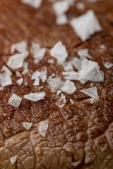 closeup of a grilled steak