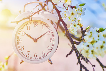 Hand hold vintage alarm clock against blue sky and blooming plant. Deadline and change time concept