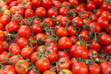 Fresh Organic Farm Tomatoes at the Market