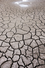 dry cracked ground  with puddle of water