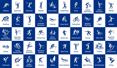 Gordijnen Summer sports icons set, vector pictograms for web and print © badwiser