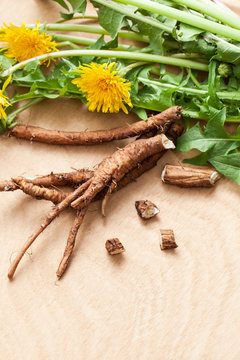 Young fresh dandelion roots on a wooden background