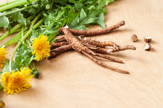 Young fresh dandelion roots on a wooden background