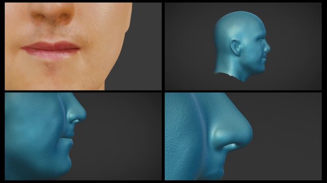 Photoreal 3D Head Sculpt model. Software four screens. Lips Nose Skin detail paint. Face High resolution polygons CGI Animation computer generated graphics. Isolated close-up.