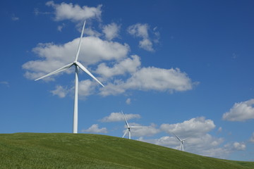 éoliennes prairie